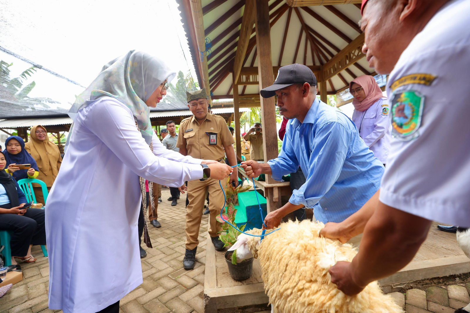 Peternak Banyuwangi Dilatih Membuat Pakan Fermentasi, Lebih Tahan Lama dan Hilangkan Bau