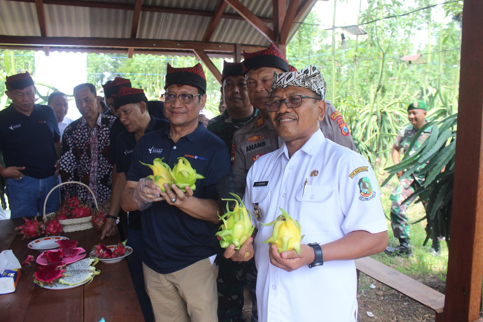 Tingkatkan Produktivitas Buah Naga Hingga 100 Persen, Bupati Sugirah Sambut Baik Program Agrosolutio