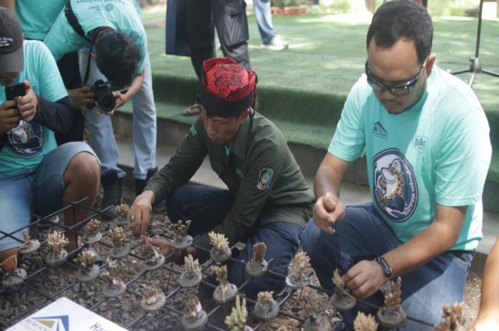 PT BSI Dukung Konservasi Laut dengan Lestarikan Terumbu Karang