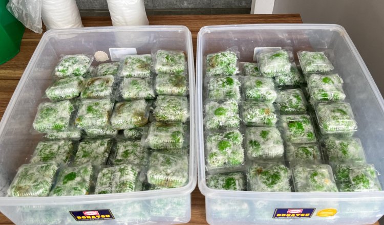 Jajanan Sehat Nusantara Gratis, Cara PT BSI Tingkatkan Gizi Anak di Lingkar Tambang