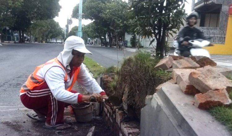 Dinas PU CKPP Banyuwangi Benahi Median Jalan Mojopanggung