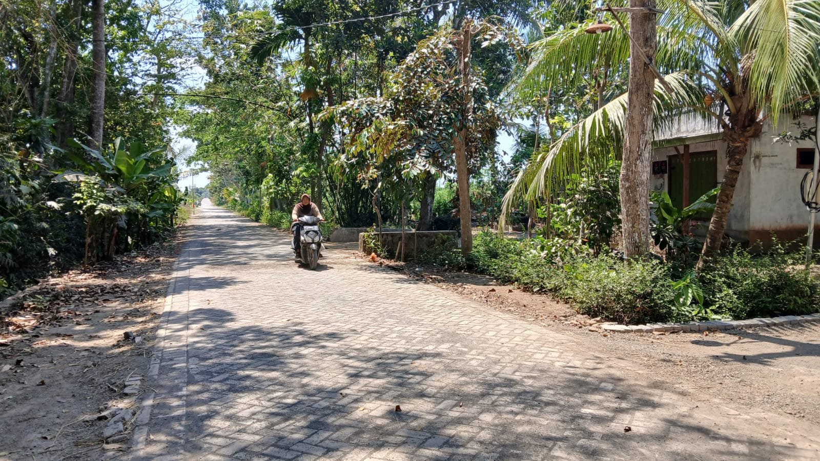 Bantu Akses Pelajar dan Petani, PT BSI Garap Pavingisasi 800 Meter di Pesanggaran